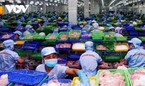 Vietnamese aquatic exports to Russia enjoy rebound